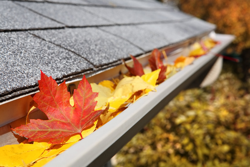 Fall Home Care: Get Ready for Winter Early