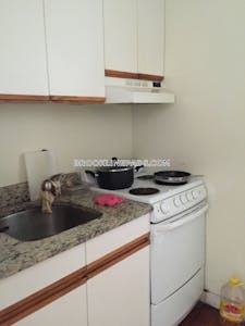 Brookline 1 Bed 1 Bath  Washington Square - $2,400 No Fee