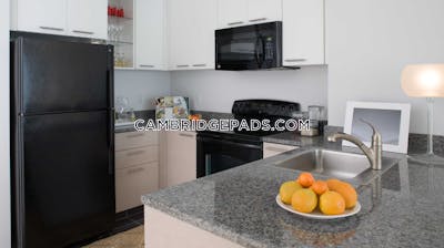 Cambridge Stunning Studio 1 Bath  Kendall Square - $2,981 No Fee