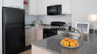 Cambridge Stunning Studio 1 Bath  Kendall Square - $2,981 No Fee
