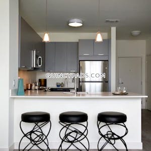 Quincy Apartment for rent 2 Bedrooms 2 Baths  Quincy Center - $2,855 No Fee